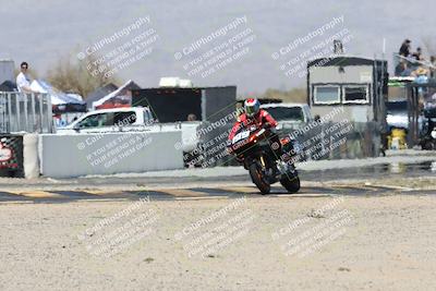 media/Apr-27-2025-BRL Bagger Racing League (Sun) [[7a5f00f0a5]]/5-Bagger GP-Pro Stock-Super Street Race/